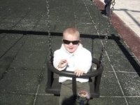 vesna 2011