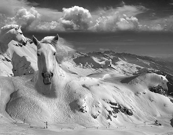 Фотоколлажи Томаса Барбе (Thomas Barbey)