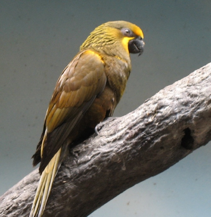 Копия IMG_0384.jpg