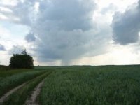 Фотоконкурс: Уходит вдаль дорога полевая (с) 