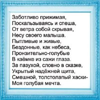Фотоконкурс: Все цвета радуги. Голубой