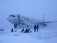 Фотоконкурс: Зимние метаморфозы. Конкурс комментариев.