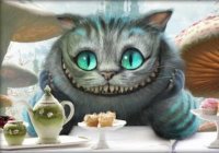 Фотография пользователя  улыбка без кота