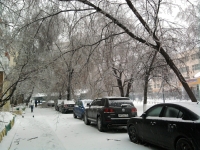 Ледяной дождь