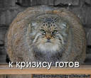 Кризис.jpg