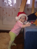 новый 2011