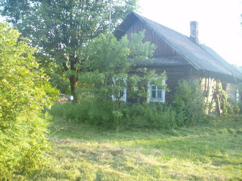 3617609.jpg