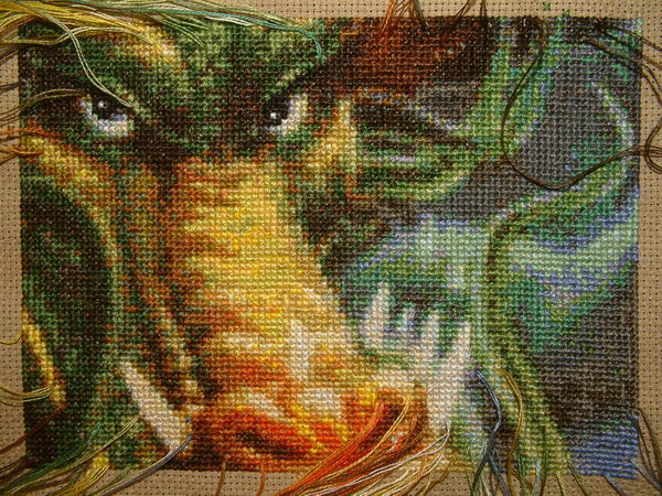 2134154.jpg