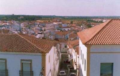 142552.jpg