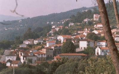 142557.jpg