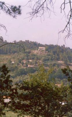 142559.jpg