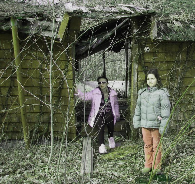 2540768.jpg