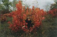 Фотография пользователя  Augenarzt