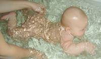 Вареник водоплавающий