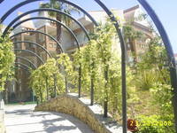 KAMELYA HOLIDAY VILLAGE
