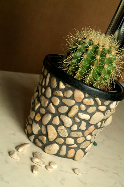 DSCF6594.jpg