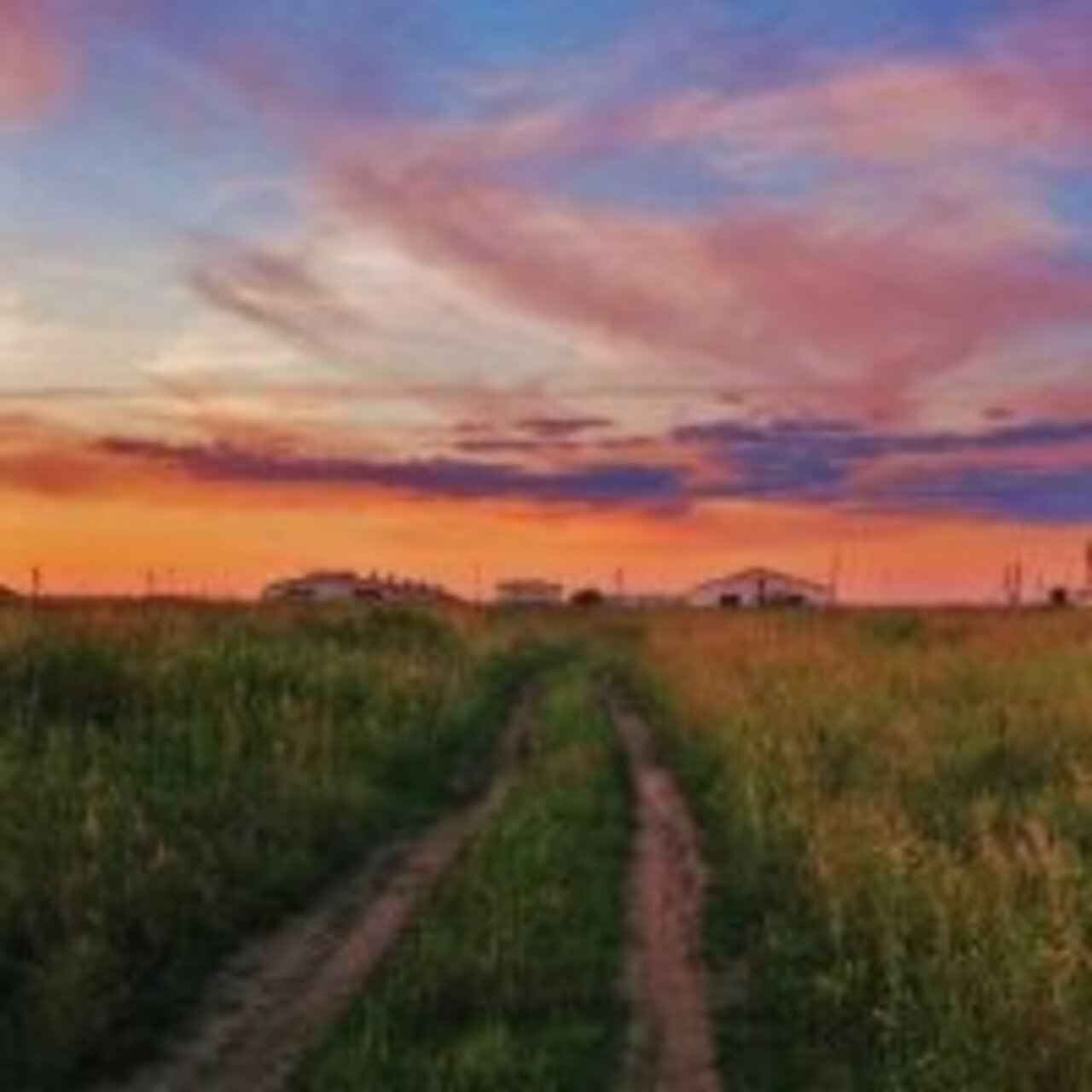 Фотоконкурс: Уходит вдаль дорога полевая (с) 