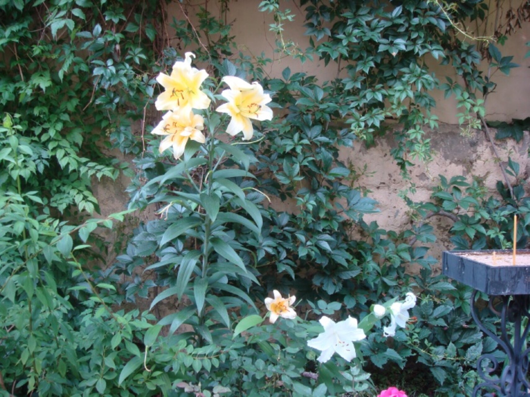 DSC01751.JPG