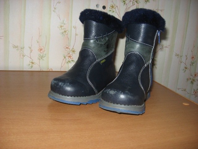 IMG_2377.jpg
