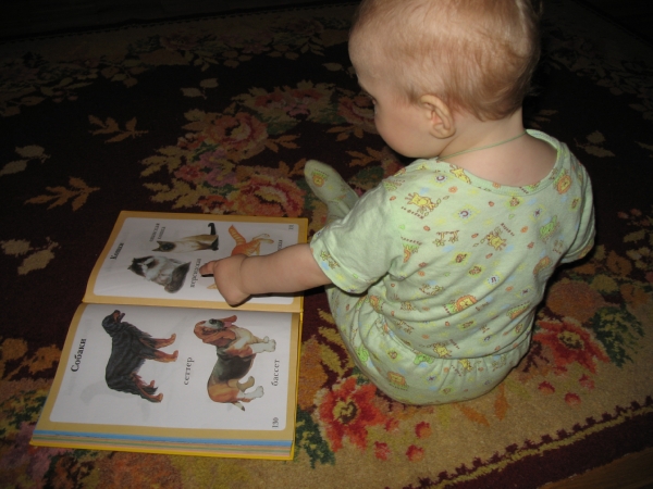 Любимая книжка