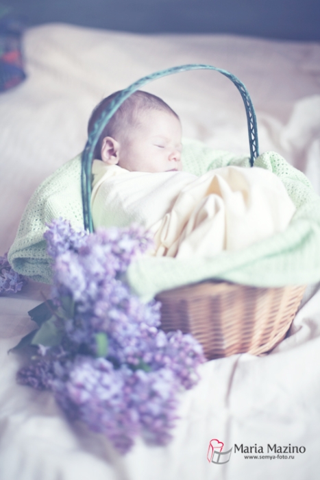 IMG_7712-Edit-Edit.jpg