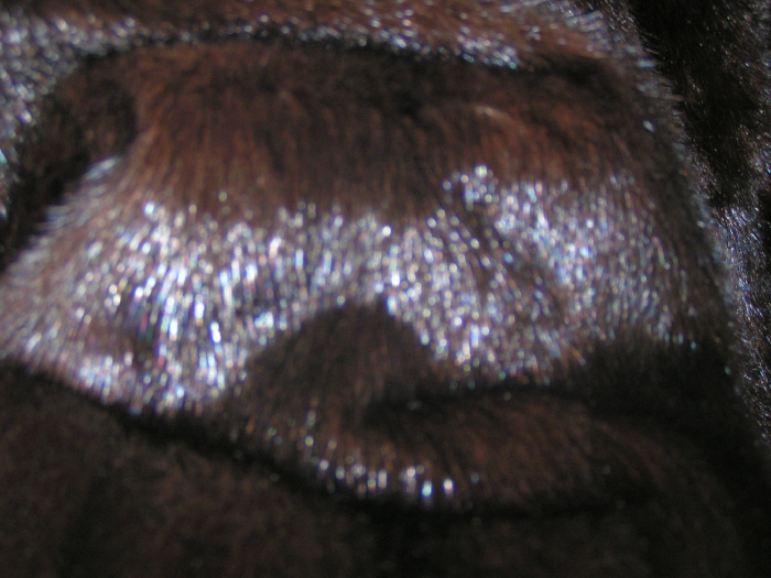 PICT0074.JPG