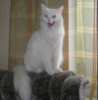 "Вот это пасть!"