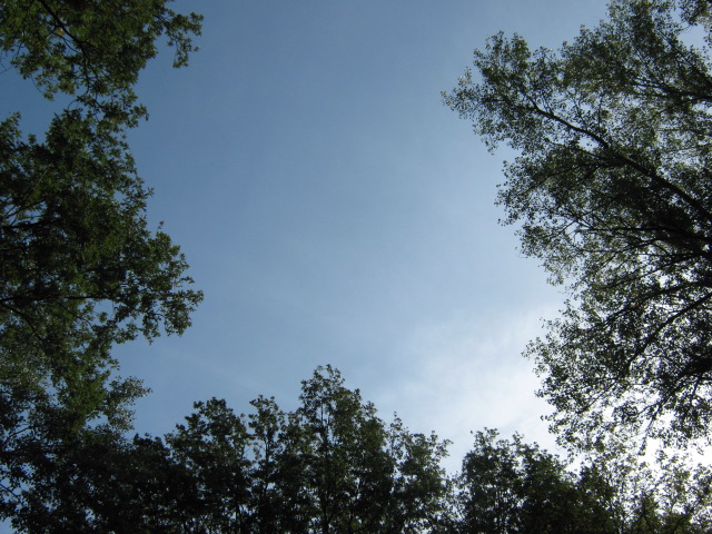 IMG_1120.JPG