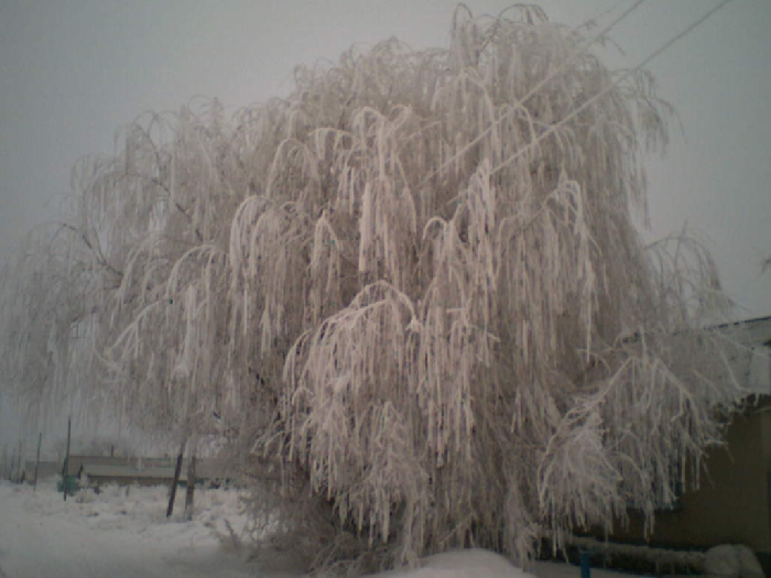 080207_084642.jpg
