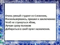 Фотоконкурс: Веселый гололед