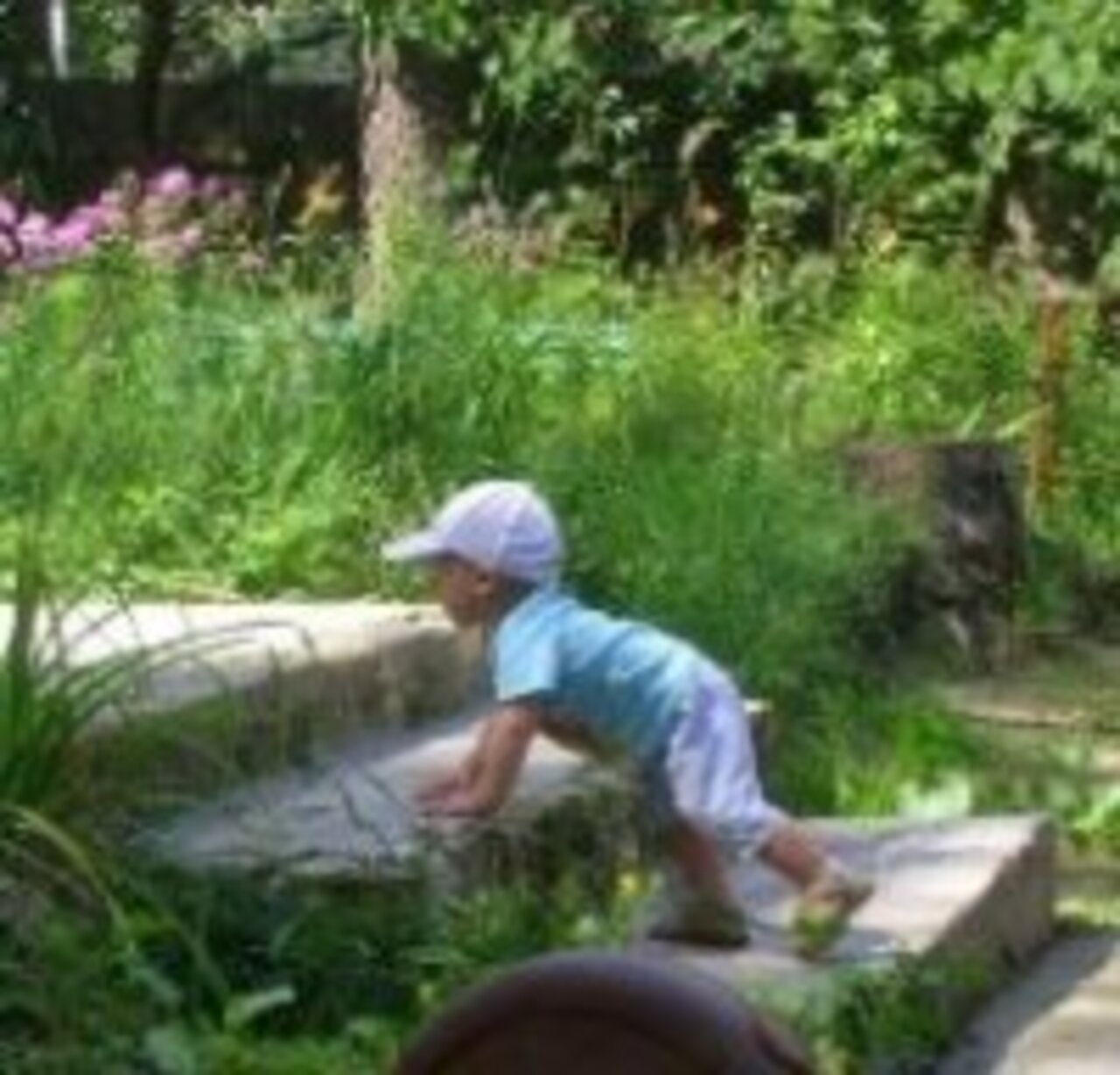 Фотоконкурс: Раз ступенька, два ступенька... (от 0 до 5 лет)