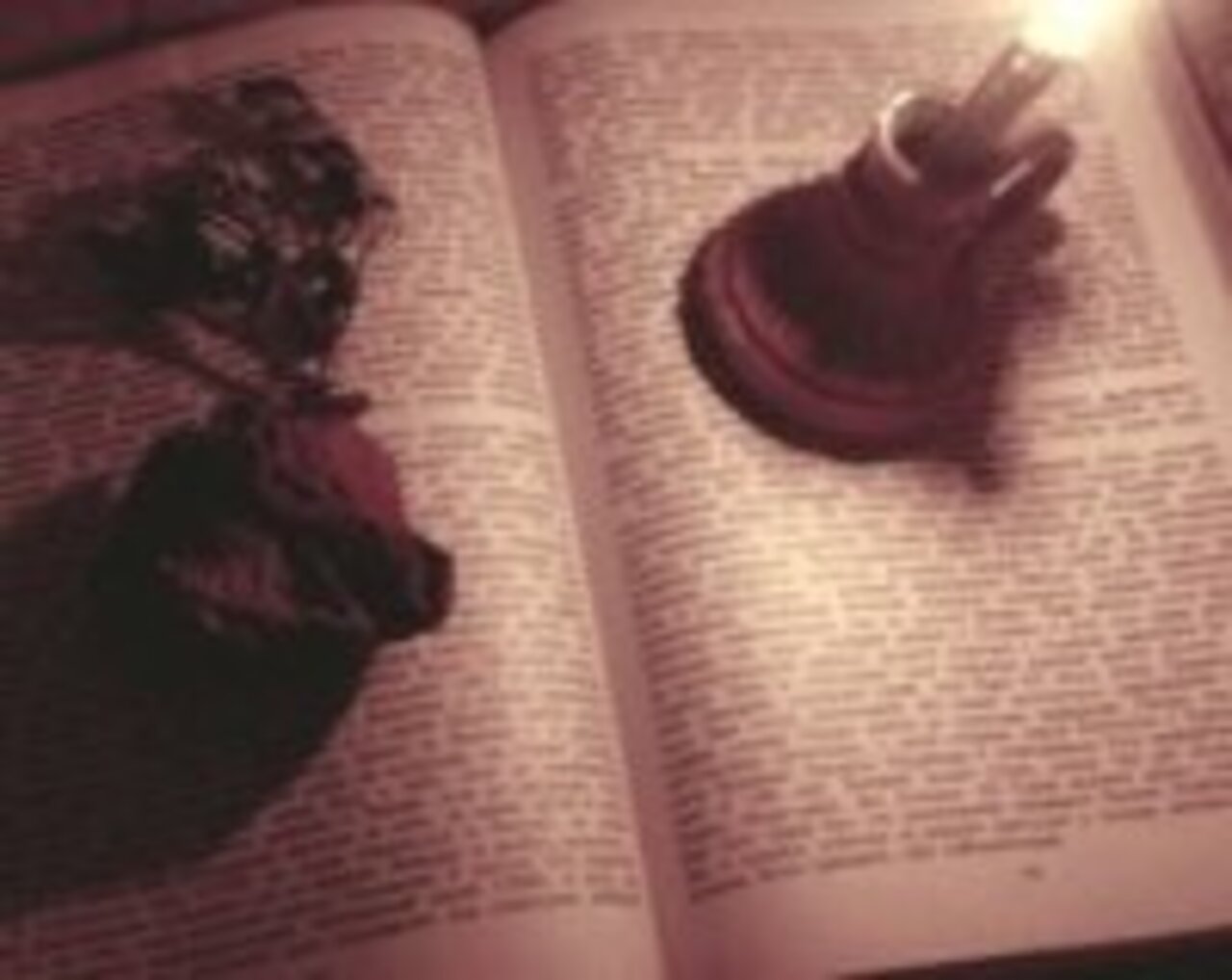 Фотоконкурс: Блиц: Читай, книгочей, не жалей очей