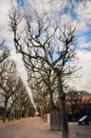 Фотозалы. Туристические зарисовки