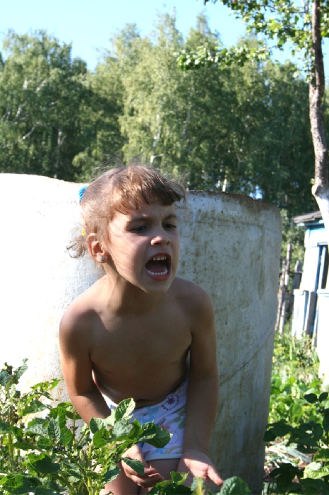 9782.jpg