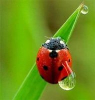 Фотография пользователя  swaita