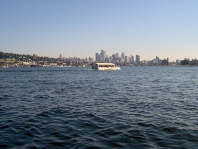 559220.jpg