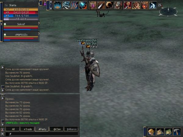 1569334.jpg