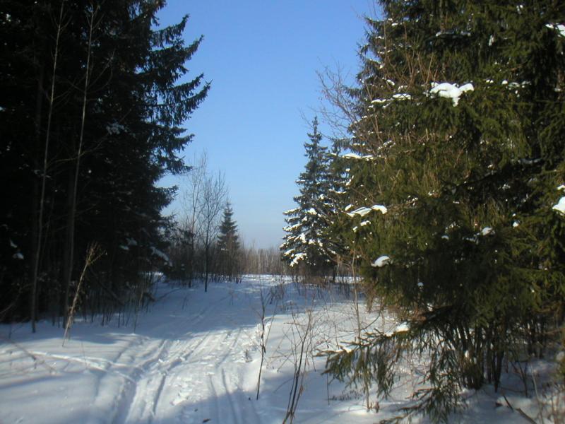 2374855.jpg