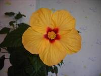 Природа