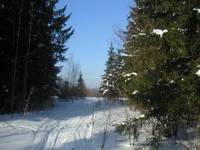 Новогоднее