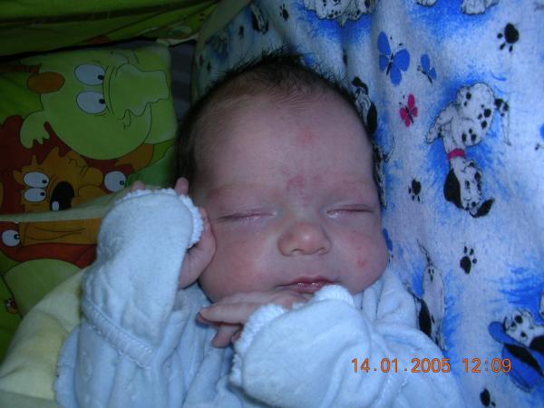 318019.jpg