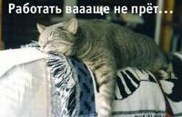 На работе.