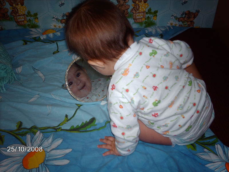 3030390.jpg