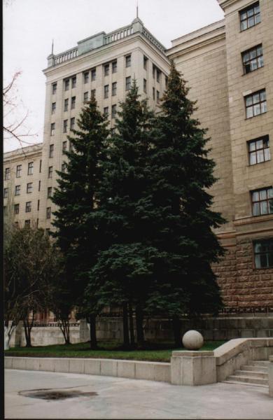 288919.jpg