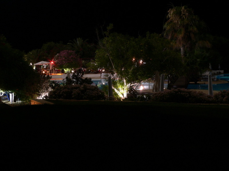 3441500.jpg