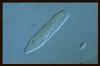 138847.jpg