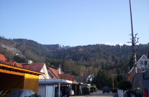 919569.jpg