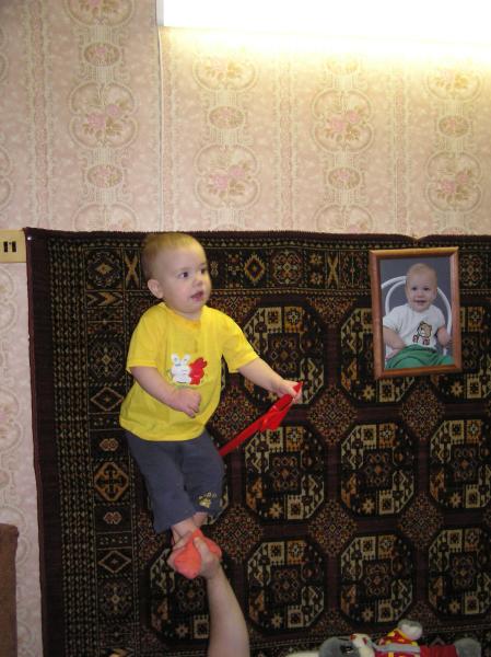 358030.jpg