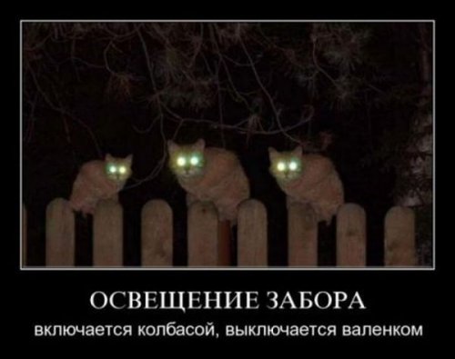 Подборка демотиваторов