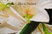 wedding day)